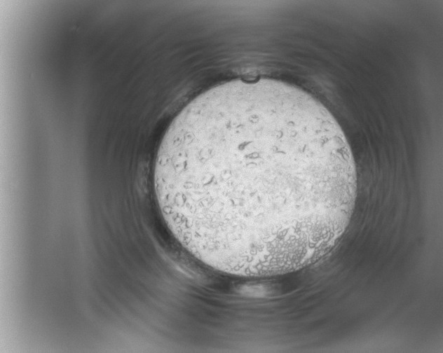 X0000067480171200604281929