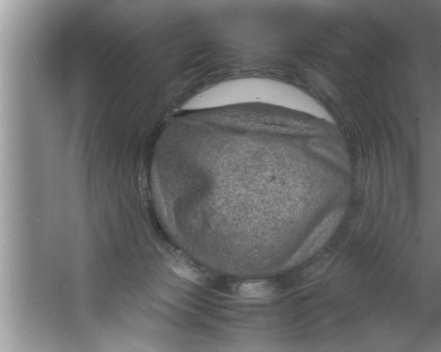 X0000067480173200604281929