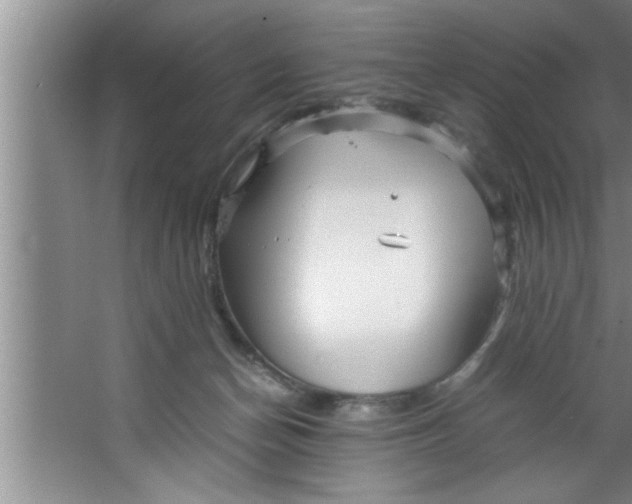 X0000067480174200604281929