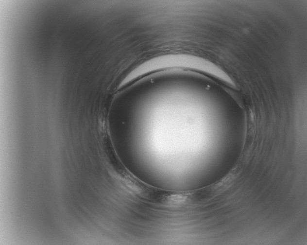 X0000067480176200604281929