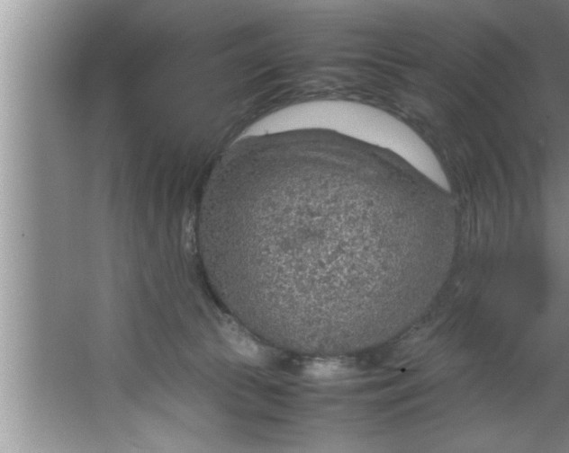 X0000067480177200604281929