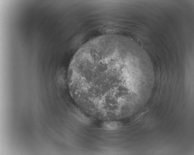 X0000067480181200604281929