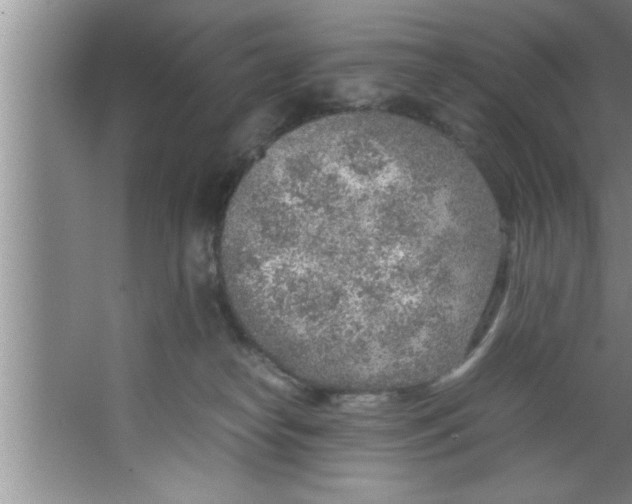 X0000067480182200604281929