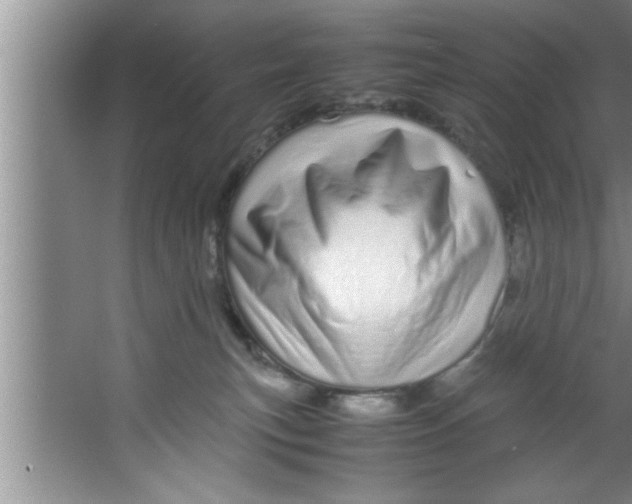 X0000067480183200604281929