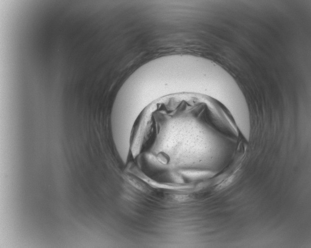 X0000067480184200604281929