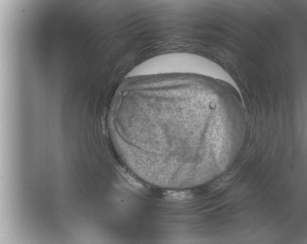 X0000067480185200604281929