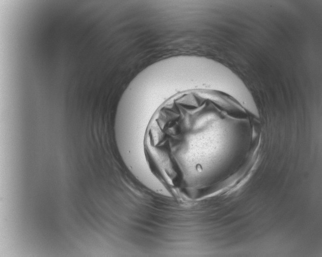 X0000067480186200604281930