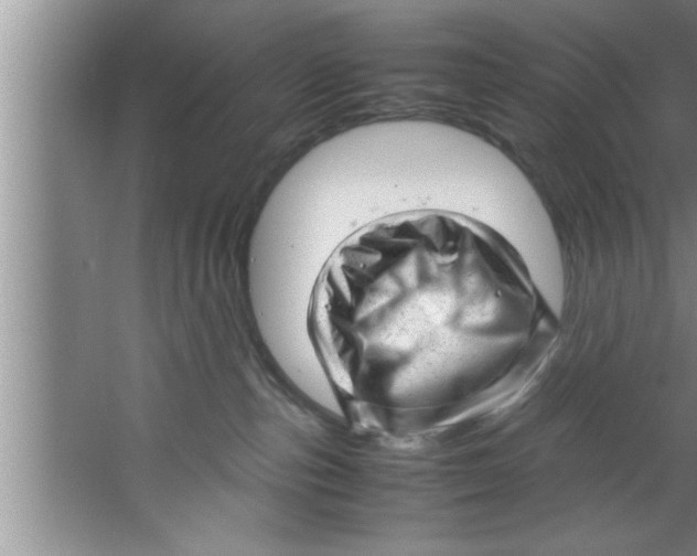 X0000067480187200604281930