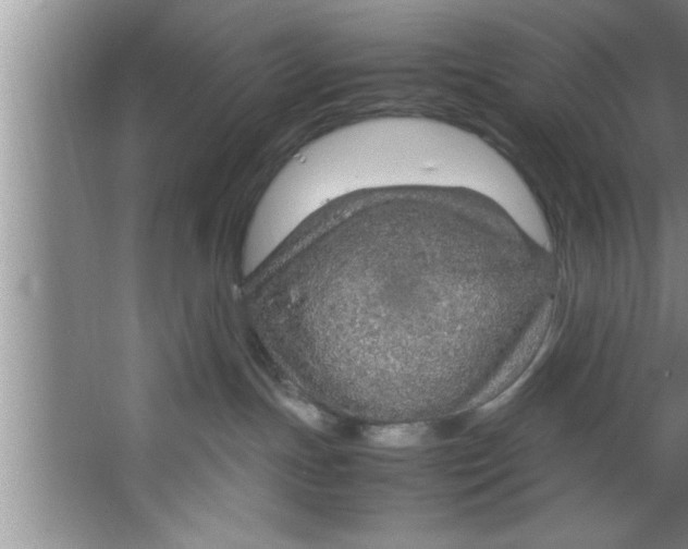 X0000067480191200604281930