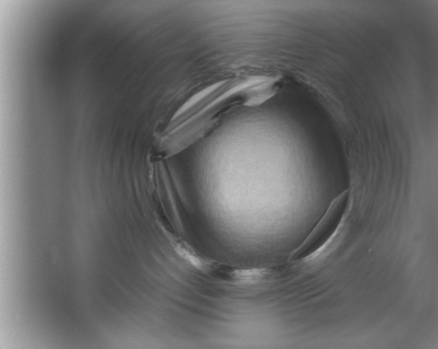 X0000067480192200604281930