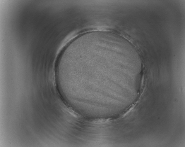 X0000067480198200604281929