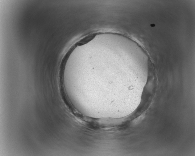 X0000067480199200604281929