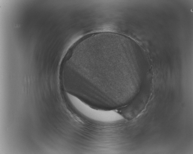 X0000067480200200604281929