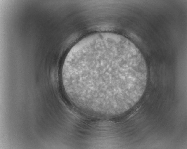 X0000067480202200604281929