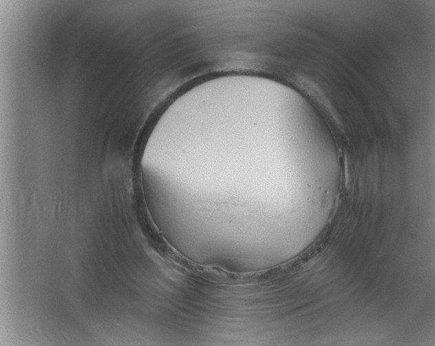 X0000067480204200604281929