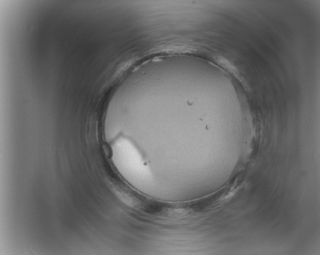 X0000067480205200604281929