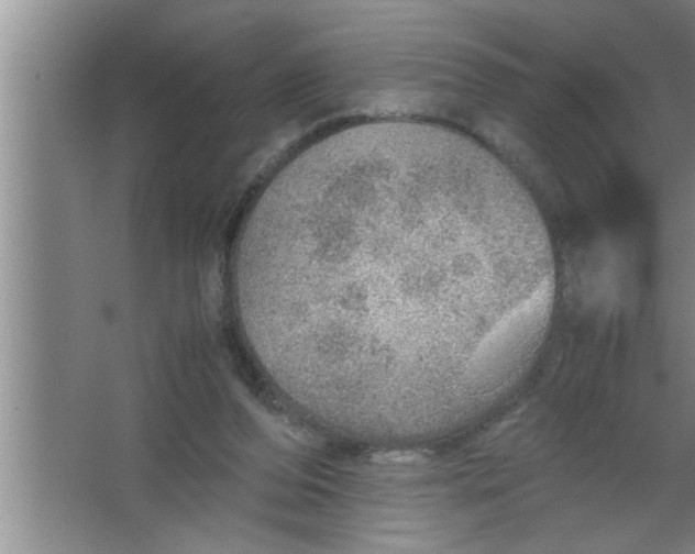 X0000067480208200604281929