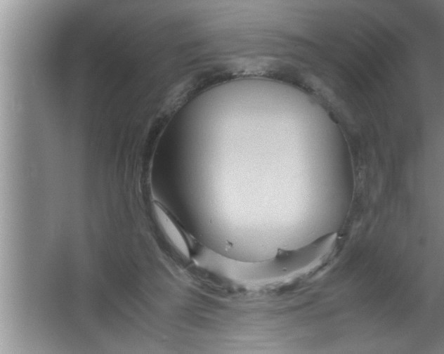 X0000067480209200604281929