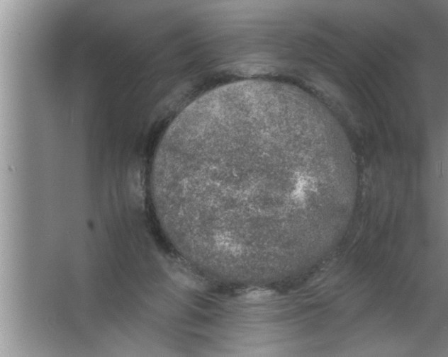 X0000067480210200604281929