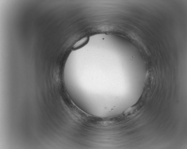 X0000067480212200604281928