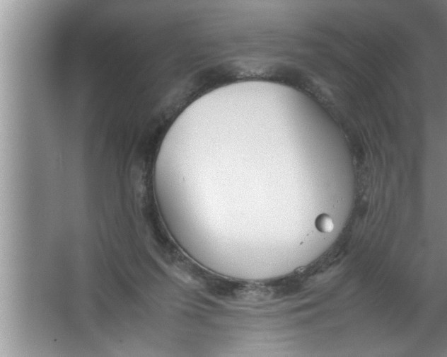 X0000067480215200604281928