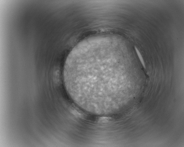 X0000067480222200604281928