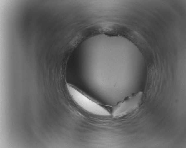 X0000067480223200604281928