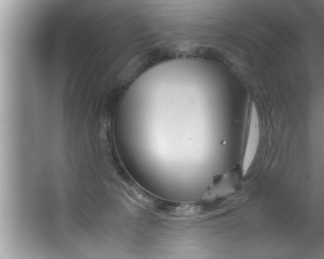 X0000067480225200604281928