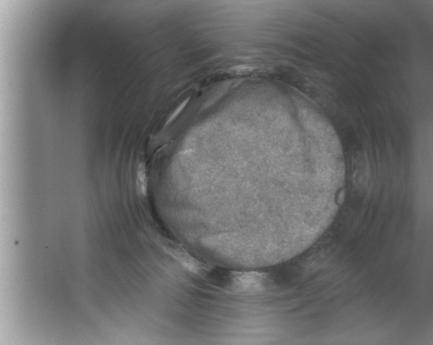 X0000067480226200604281928