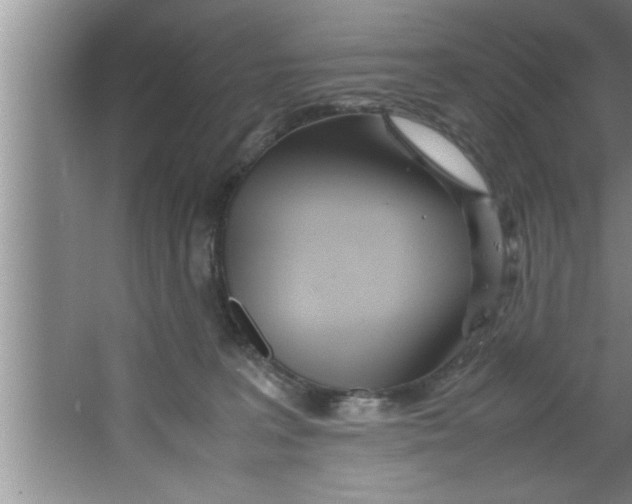 X0000067480227200604281928