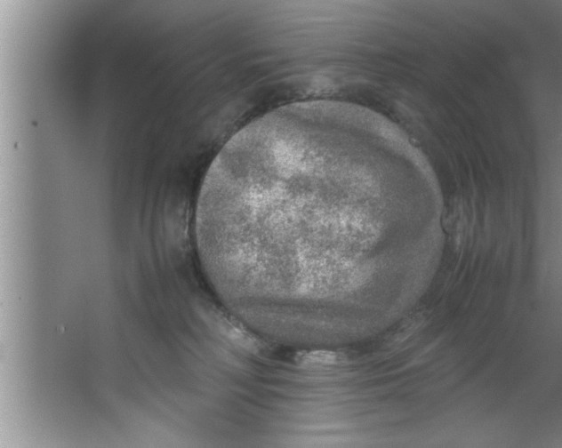 X0000067480230200604281928