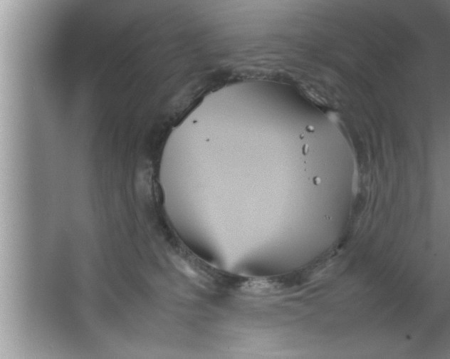 X0000067480231200604281928