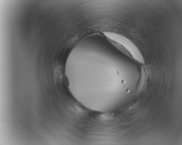 X0000067480232200604281928