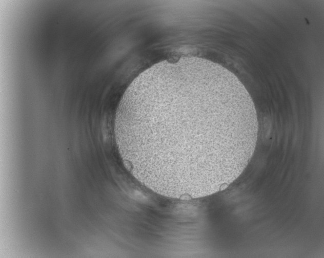 X0000067480236200604281928