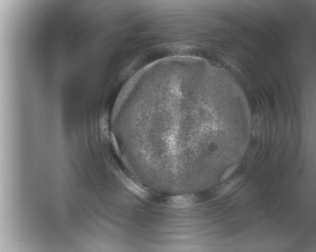 X0000067480238200604281928