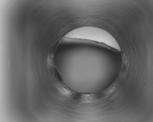 X0000067480239200604281928