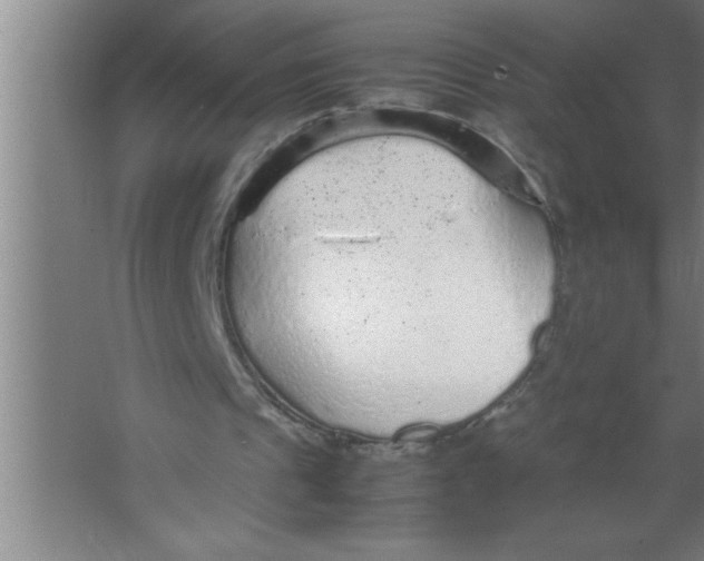 X0000067480241200604281927