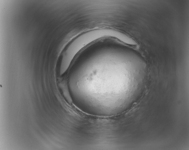 X0000067480242200604281927