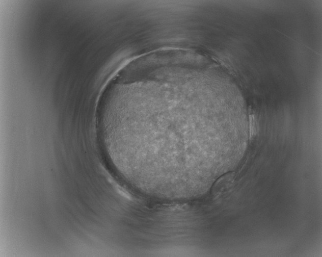 X0000067480243200604281927