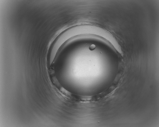 X0000067480244200604281927