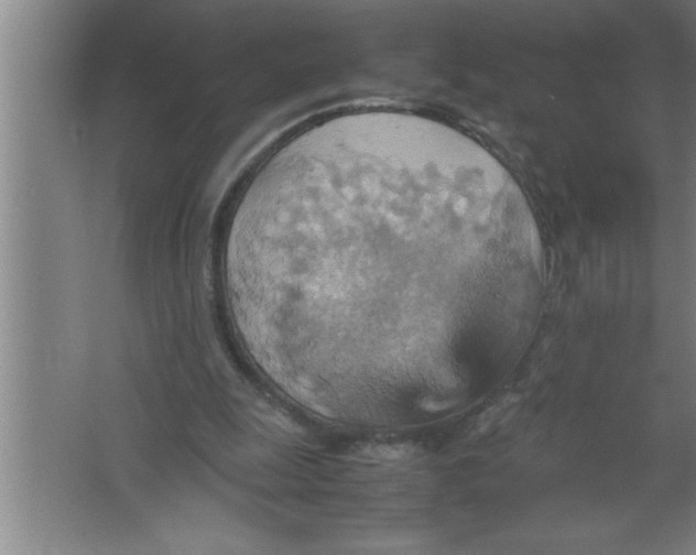 X0000067480247200604281927