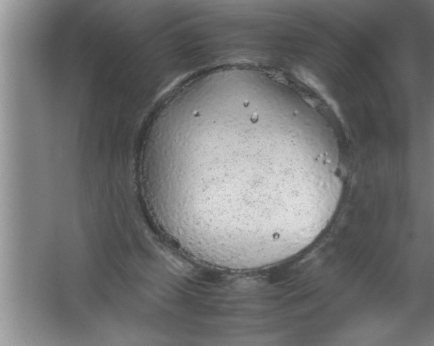 X0000067480249200604281927