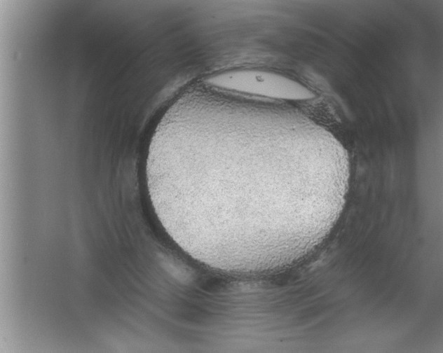 X0000067480250200604281927