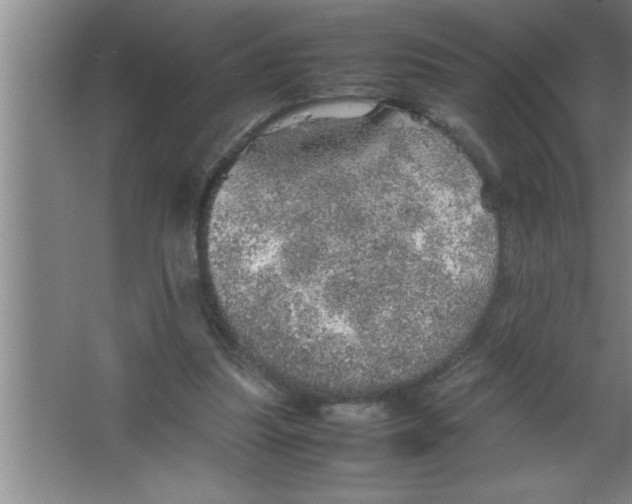 X0000067480251200604281927