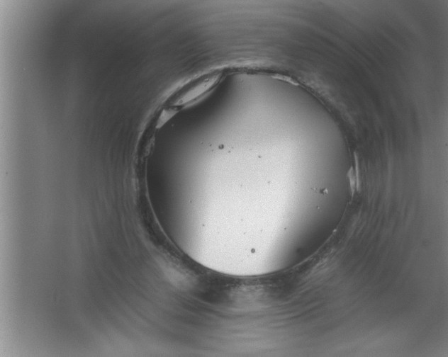 X0000067480252200604281927