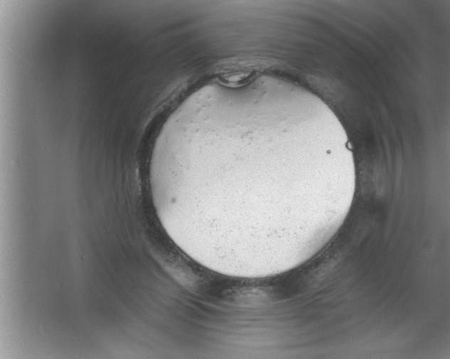 X0000067480254200604281927