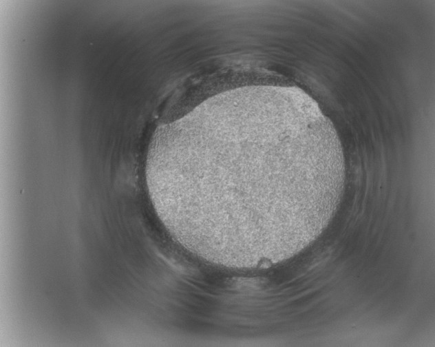 X0000067480255200604281927