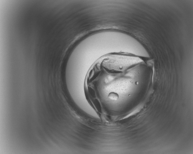 X0000067480256200604281927