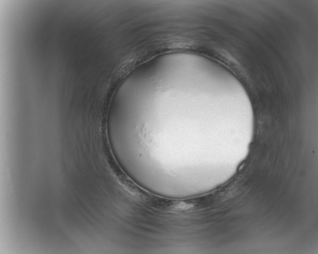 X0000067480257200604281927