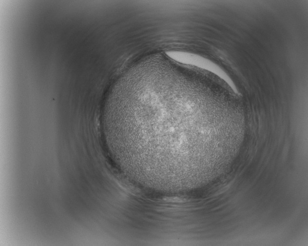 X0000067480259200604281928